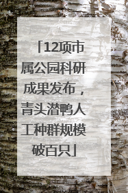 12项市属公园科研成果发布，青头潜鸭人工种群规模破百只